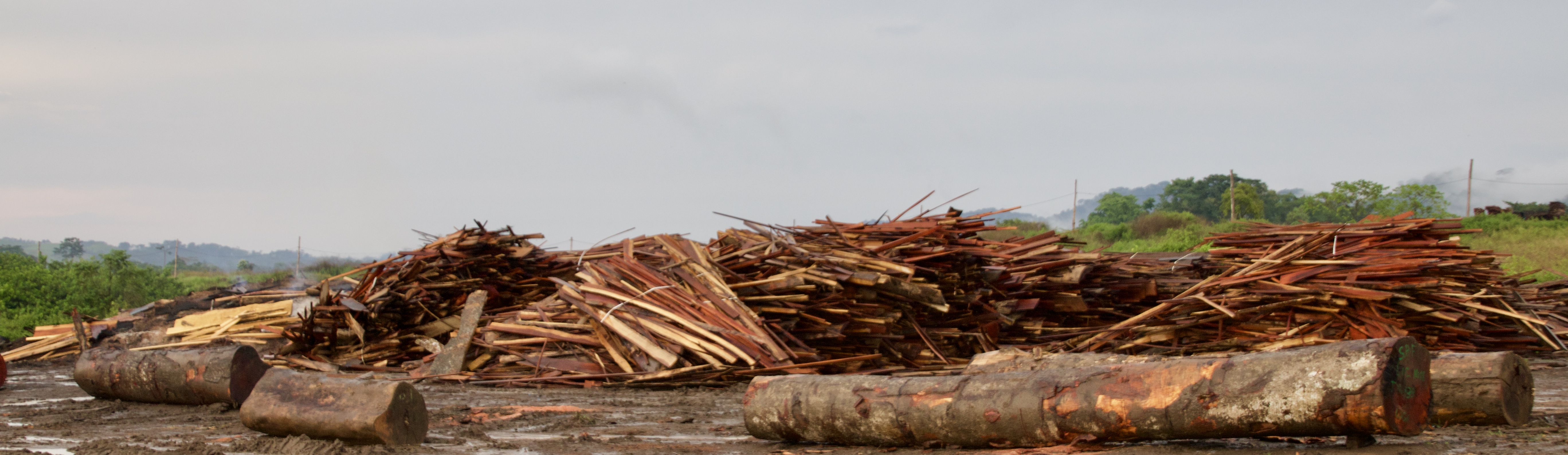 Déchets de bois