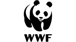 Cover4.png