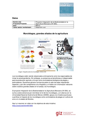 MZO-MurcielagosMex.pdf