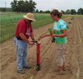 Planting Implement.jpg