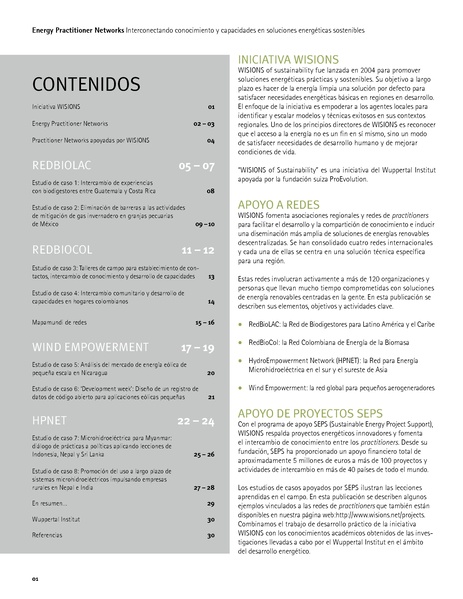 File:Networks WISIONS 2016 Spanish.pdf