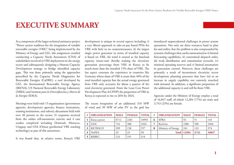 File:GIZ CNA 052220 report.pdf