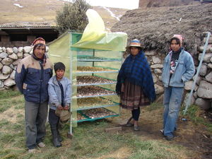 GIZ Pereyra Bolivia Solar drying.JPG