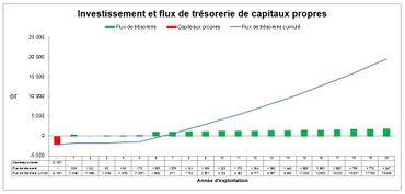 Ex. 2 : Graphique résument les flux de trésorerie de l'investissement