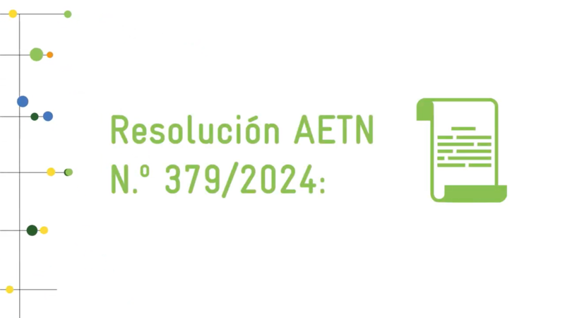 File:Resolucion 379-2024.png