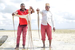 © Egno Ndunguru - WWF Tanzania.jpg