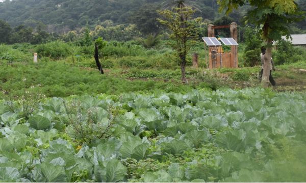 Solar-pump-EnDev-Benin.png