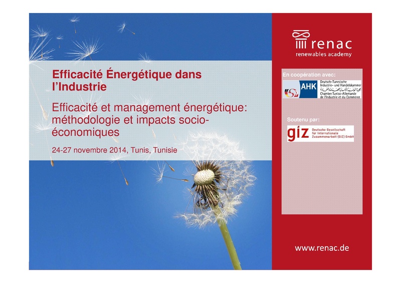 File:Efficacité et Management Ènergétique - Méthodologie et Impacts Socioéconomiques.pdf