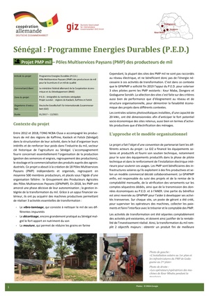 PED GIZ FS PMPmil agrobusiness.pdf