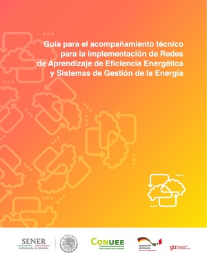 Guia ExpertoTecnico RdA.pdf