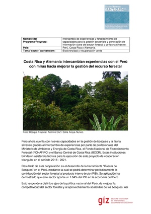 JUL21-TriangularPeru.pdf