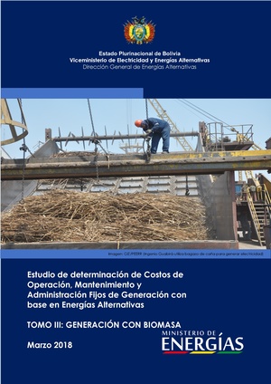 Estudio Costos Fijos OMA-Generacion BIOMASA.pdf