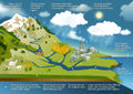 Water cycle FAO 2015.jpg