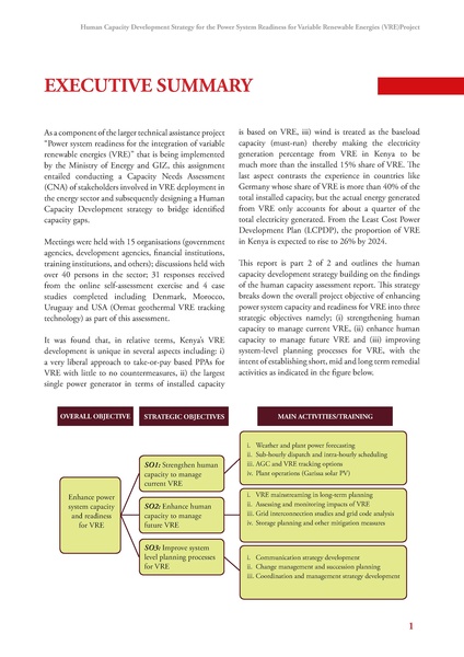 File:GIZ HCD 052220 report.pdf