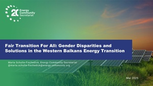 Gender disparities during the energy transitions Marta Schulte-Fischedick.pdf