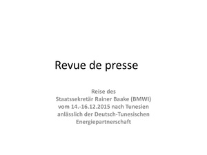 Revue de presse Baake.pdf