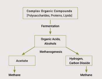 Methane Formation Process.JPG