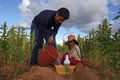 Bolivian Countryside.JPG