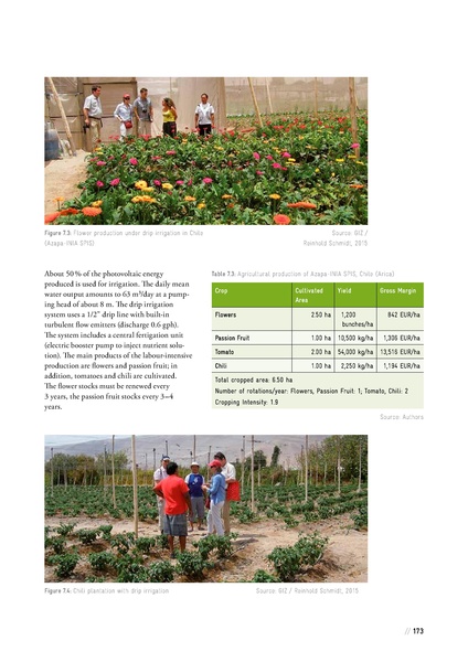 File:Solar Powered Irrigation Systems (SPIS) - Technology, Economy, Impacts.pdf