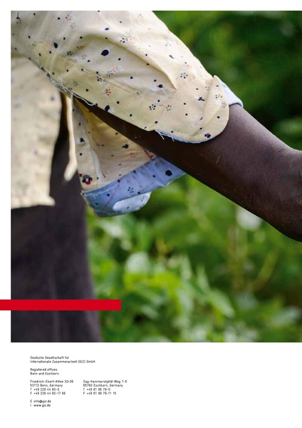 File:Solar Powered Irrigation Systems (SPIS) - Technology, Economy, Impacts.pdf