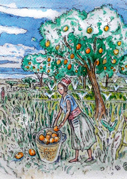 File:Solar Powered Irrigation Systems (SPIS) - Technology, Economy, Impacts.pdf