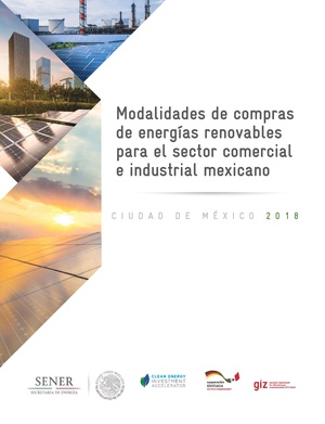 Modalidades Compras ER GIZ 2018.pdf