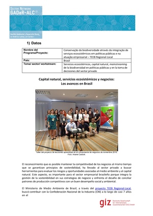 J-Capital-Natural-Ecosistemicos-Brasil.pdf