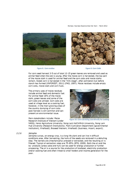 File:Biomass Business Opportunities in Vietnam.pdf