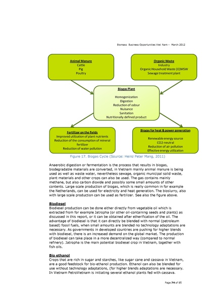 File:Biomass Business Opportunities in Vietnam.pdf