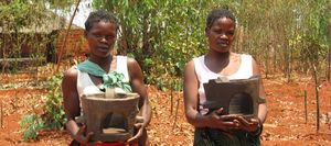 Feldmann-malawi-stoves.jpg