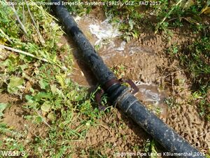 Irrigation Pipe Leaks KBlumenthal 2015.jpg