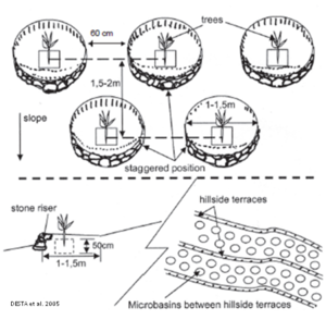 MicroBasin.png