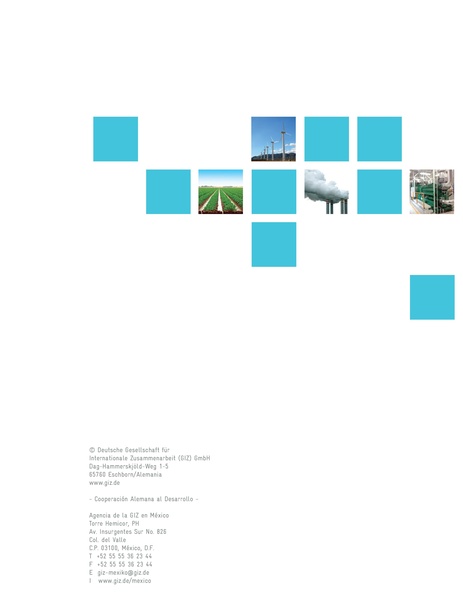 File:GIZ Tecnologías biomasa forestal 2015.pdf