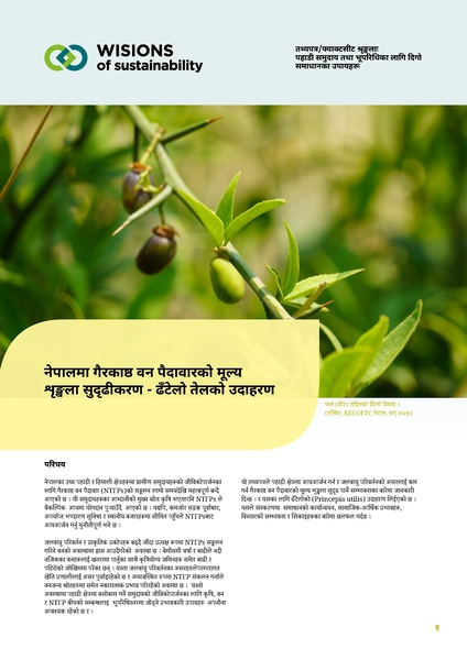 File:WISIONS Factsheet-Series NTFPS NEP 2025.pdf