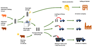 Dairy Value Chain Colombia.png