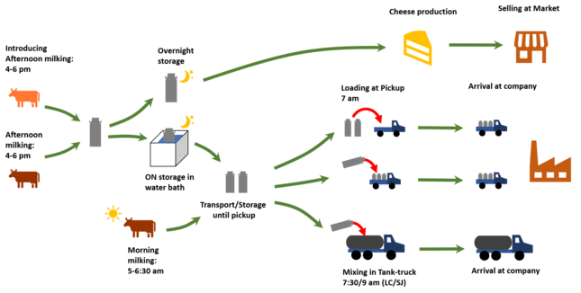 Scheme of the Colombian dairy value chain from milking to the transformation industry