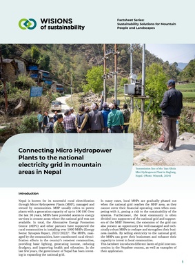 WISIONS Factsheet-Series MHP-Grid-Interconnection-EN 2025.pdf