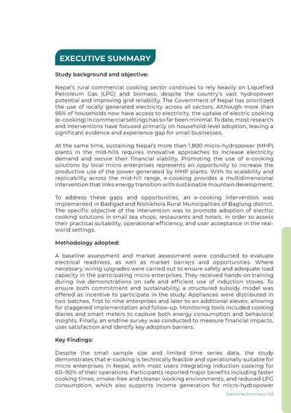File:WISIONS-Reports IL-Nepal E-Cooking 2025.pdf