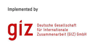 GIZ logo.jpg