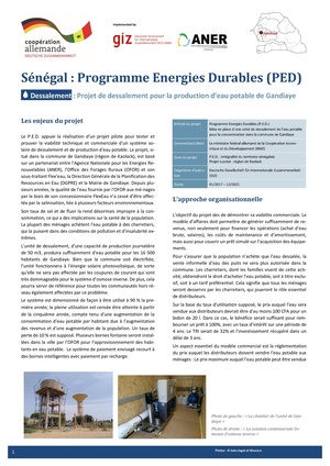 PED GIZ FS dessalementGandiaye.pdf