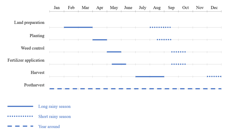 Maize production calendar.png