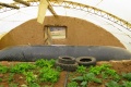 Digester Valley Greenhouse Cochabamba Bolivia.jpg