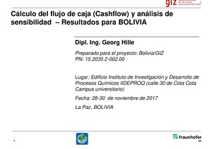 16- BOL-programa-cashflow--georg-hille.pdf