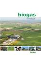 Biogas Handbook.pdf