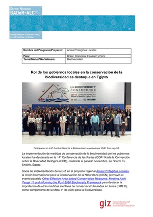 P-Global-Cumbre.pdf