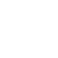 Icon Globe white.svg