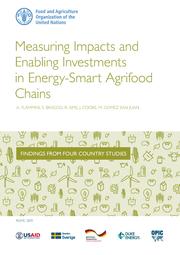 FAO (2019). Measuring Impacts and Enabling Investments in Energy-Smart Agrifood Chains.