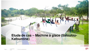 Capitalisation économique UPE glace Saloulou.pdf