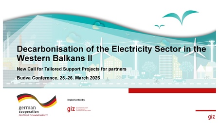 Annex no.7 Overview of Tailored Support call for the project Phase II, presented by Mario Jasic.pdf