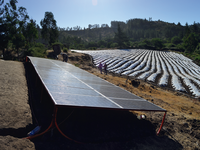 Planta fotovoltaica para riego de un cultivo de frutillas V Región.png
